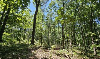 65 Acres Plainview Rd, Anderson, MO 64831