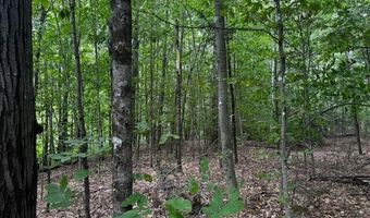 M13 L18-b Fish Road, Anson, ME 04911