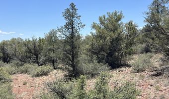 61 Colt Ct Ne4 Rd, Ash Fork, AZ 86320