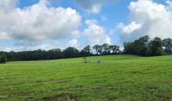 3350 SE Mount Pleasant Ln, Bogue Chitto, MS 39629