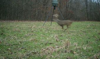 217 281, Banner, MS 38913