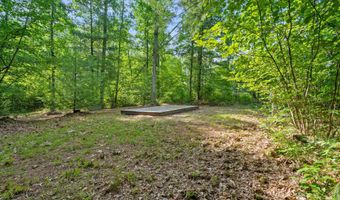 1125 39th St, Allegan, MI 49010