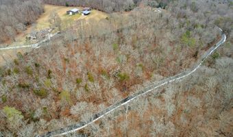 Fox Hollow Lane, Andersonville, TN 37705