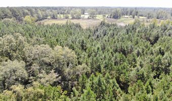 Old Buckhead Road, Bamberg, SC 29003