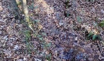 BLACKJACK ROAD lot 0, Argo, AL 35173