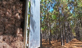 Highway 112, Abbeville, GA 31001