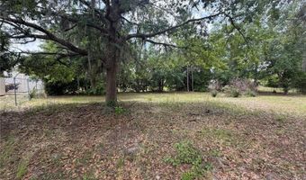 24138 PANTHER Rd, Astor, FL 32102