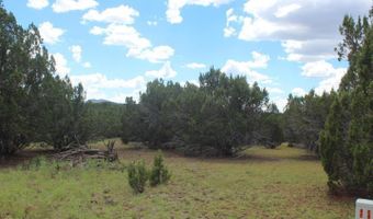 29 Co Rd 3199, Vernon, AZ 85940