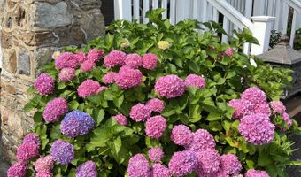 135 Lakeside Ave, Avon By The Sea, NJ 07717
