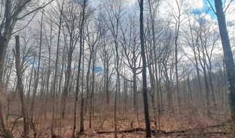 Glade Run Road, Albright, WV 26519