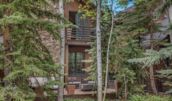 1354 Sierra Vista Dr, Aspen, CO 81611