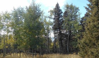 Lot 1287 El Camino Real, Angel Fire, NM 87710