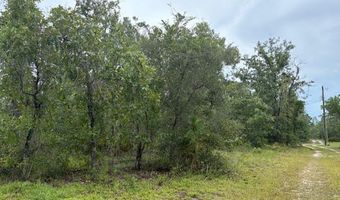 4539 NW Miller/White LN Rd, Altha, FL 32421