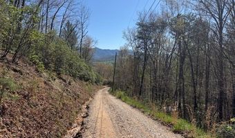 000 Holland Farm Rd, Andrews, NC 28901