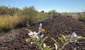 US Highway 180 lot 9C, Concho, AZ 85924