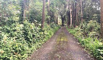 772 Nahiku Rd, Hana, HI 96713