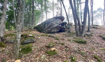 Lot S-127 Silver Eagle Trail, Banner Elk, NC 28604