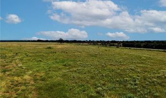 Tbd Tract 4 Fm-2819, Anderson, TX 77830