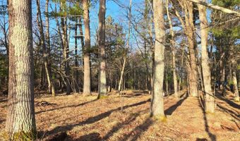 ON FARMING RD N lot 2, Arbor Vitae, WI 54568