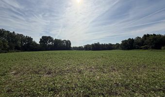 V/L N 800 E, Albany, IN 47320