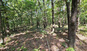 65 Acres Plainview Rd, Anderson, MO 64831