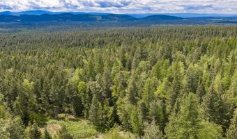 Nhn Red Hawk Drive, Bigfork, MT 59911