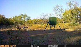 11605 County Road 372, Anson, TX 79501