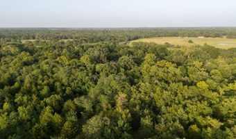Tract 8 Highway 70, Bennington, OK 74723