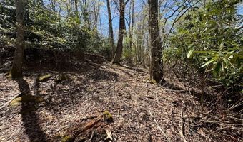 62 Acres Buckeye Ridge Rd, Beech Mountain, NC 28604