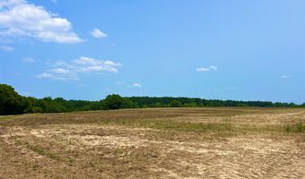 Rocky Creek Road, Ashford, AL 36312