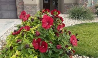 2806 Browning Ave, Artesia, NM 88210