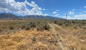 80 21 Acres A, Lamoille, NV 89828