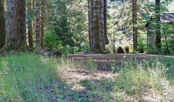 9965 BEACH Dr, Birkenfeld, OR 97016