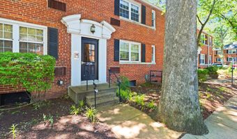 206 N TRENTON St 206-3, Arlington, VA 22203