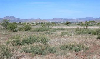 Tract 94 Sierra La Rana, Alpine, TX 79830