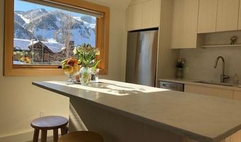 1136 Vine St 1136, Aspen, CO 81611