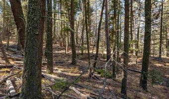 Back Basin Rd lot 145, Angel Fire, NM 87710