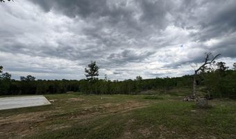 3968 HWY 167, Ash Flat, AR 72513