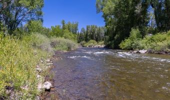 209 Deer Path Ln, Almont, CO 81230