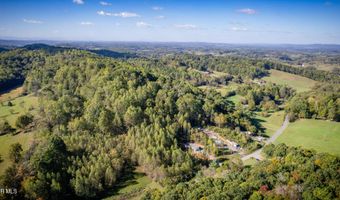 Davis Valley Road lot 8 & 11, Afton, TN 37616