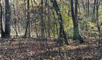 33 Eagle Rdg, Ball Ground, GA 30107