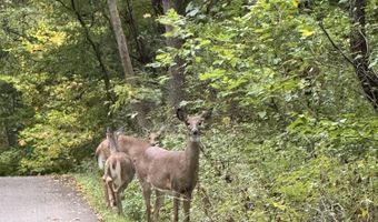 1286 Bridge Rd, Allegan, MI 49010