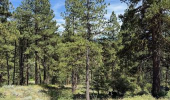 1224 Woodside Rd, Cascade, ID 83611