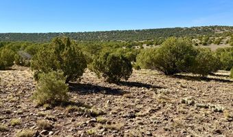 Kirkland DR 20 Acres, Concho, AZ 85924