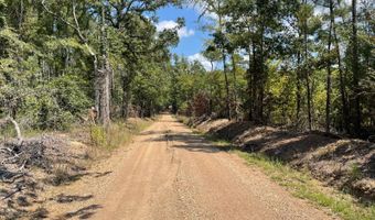 00 Pisgah Rd 2, Brandon, MS 39047