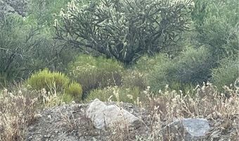 Carp Road, Caliente, NV 89008