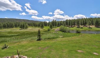 13 Woodlands, Angel Fire, NM 87710