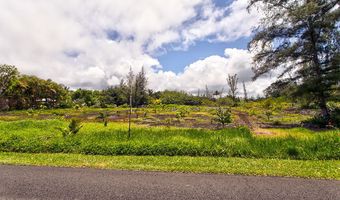 15-920 PARADISE ALA KAI Dr Lot #: 409, Keaau, HI 96749