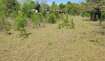 601 HERBERT BROWN Rd, Auburn, AL 36830
