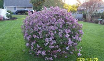 106 CREEKSIDE Dr, Dagsboro, DE 19939